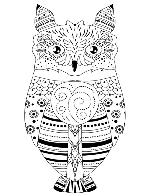 Colorful Owl Coloring Page