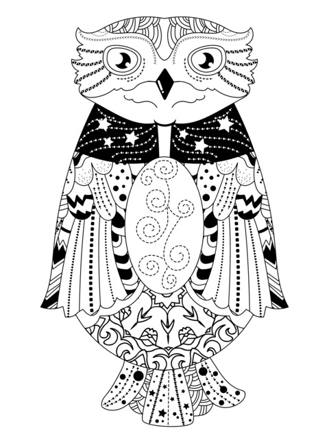 Colorful Owl Coloring Page