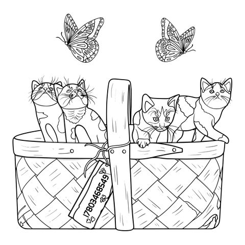 Cats and Butterflies in a Basket