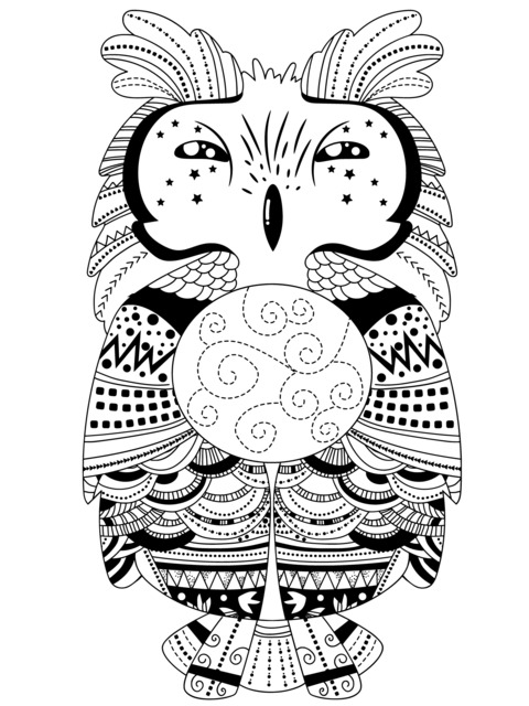 Colorful Owl Coloring Page