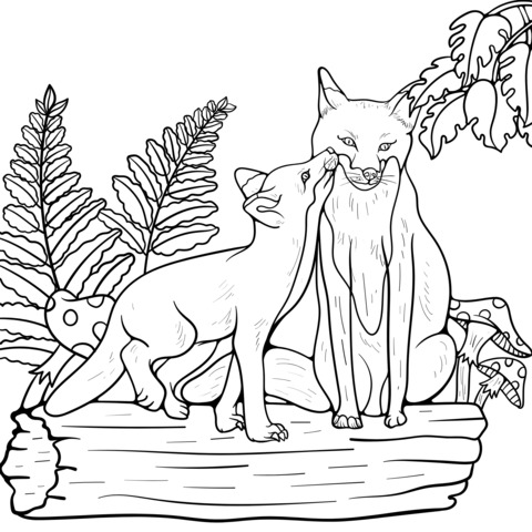 Heart - warming Parent - Child Fox Coloring Page