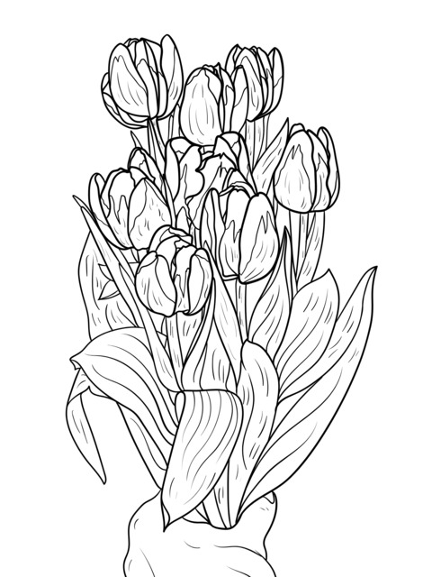 Coloring Page of a Hand - Held Bouquet of Colorful Tulips