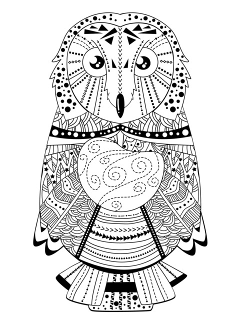 Colorful Owl Coloring Page