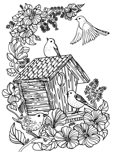 Flower - and - bird Themed Coloring Page