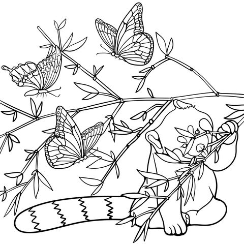 Adorable Red - Panda and Butterflies Coloring Page