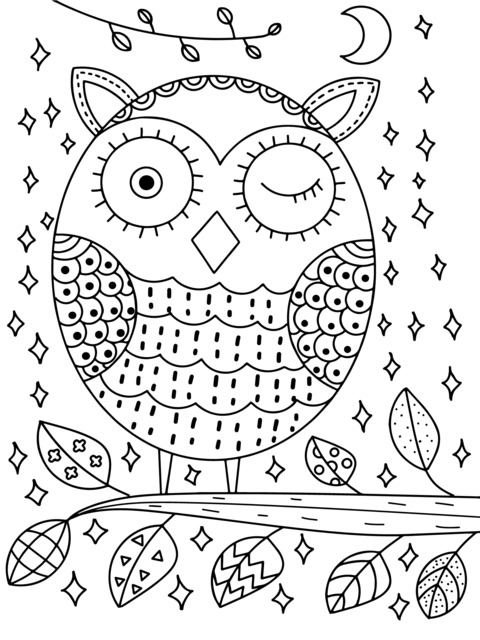 Adorable Owl at Night Coloring Page