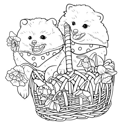 Página para colorear de dos cachorros en una canasta de flores