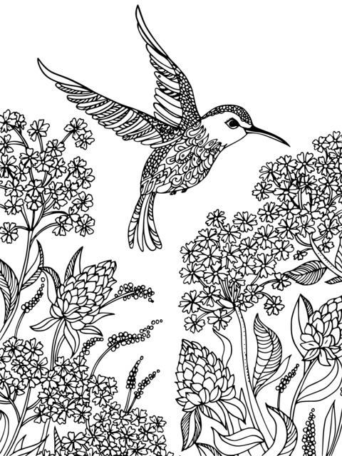 Hummingbird and Flowers Coloring Page