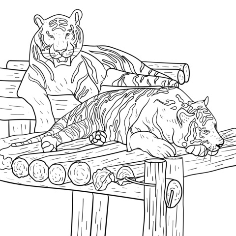 Coloring Page of Two Resting Tigers