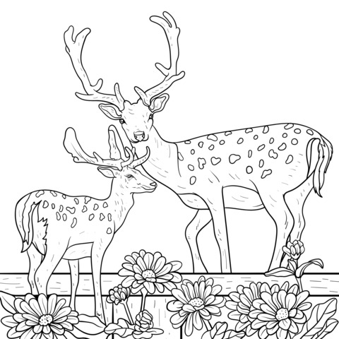 Parent - child Deer and Flower Coloring Page