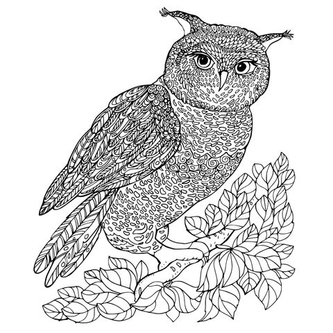 Owl Coloring Page: A Cute Owl Perched on a Branch