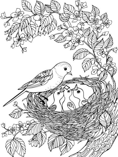 Flower, Bird and Nest - Themed Coloring Page