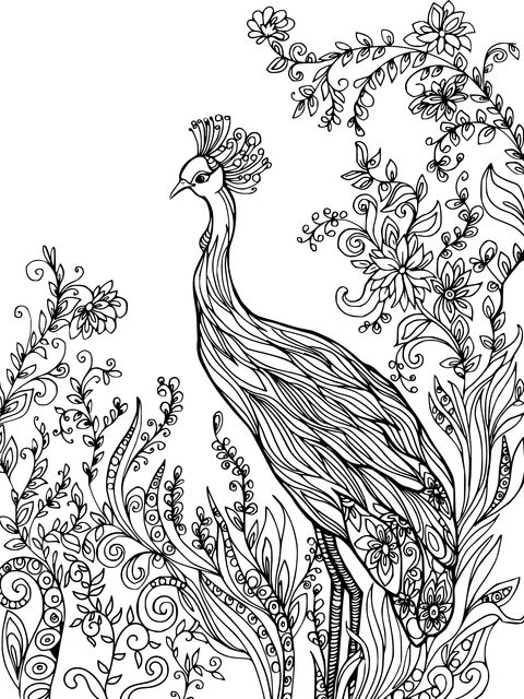 Exquisite Flower - Bird Coloring Page: Peacock and Blossoms