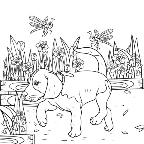 A puppy strolls by the flower - bed