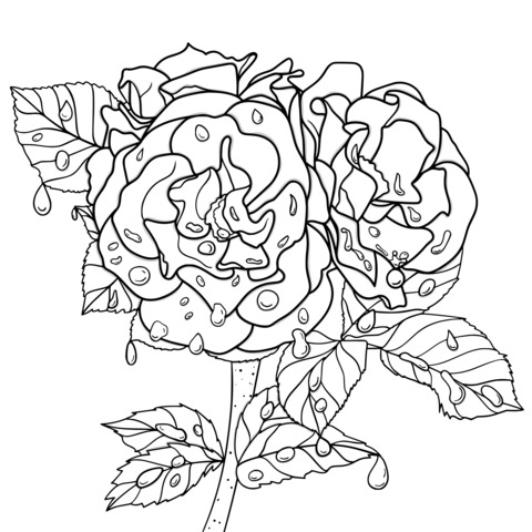 Coloring Page of Three Red Roses with Dew Drops