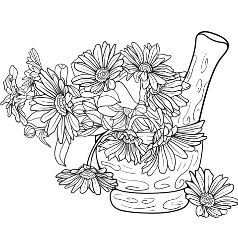 Flowers and Mortar Coloring Page