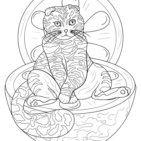 Coloring Page of a Scottish Fold Cat Sitting on a Lemon Slice