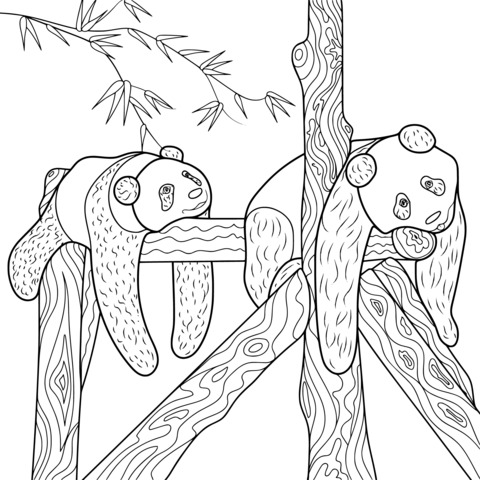 Adorable Pandas Resting Coloring Page