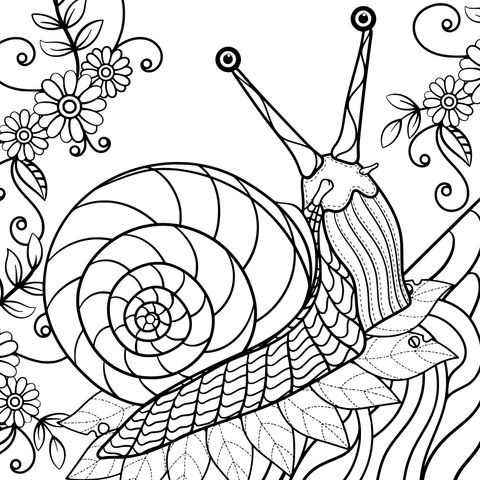 Cute Snail Coloring Page