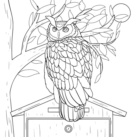 Coloring Page of an Owl Perching