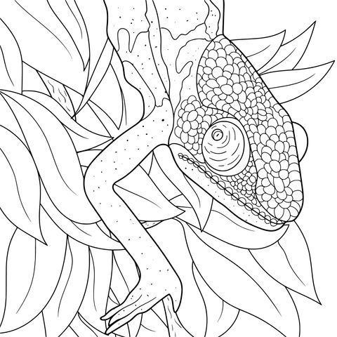 Chameleon Coloring Page: A奇妙 Creature in the Colorful Jungle