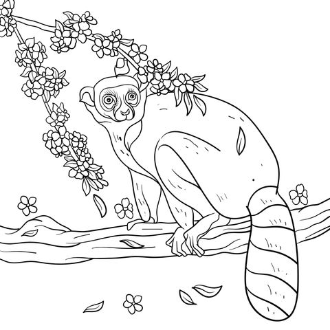 Slow Loris Coloring Page: A Cute Slow Loris and Flowers on a Tree