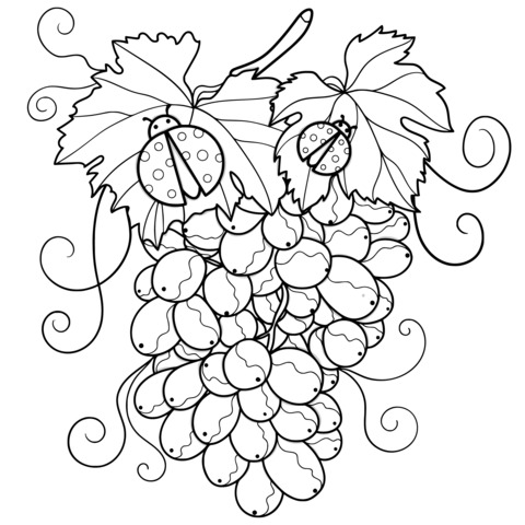 Grape and Ladybug Coloring Page