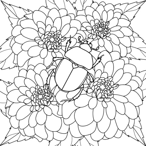 Flowers and Beetle Coloring Page