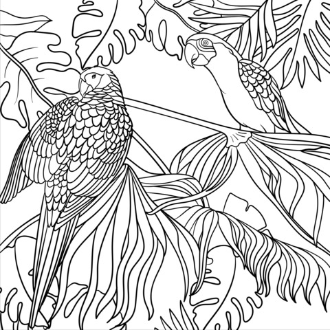 Colorful Parrots and Tropical Plants Coloring Page