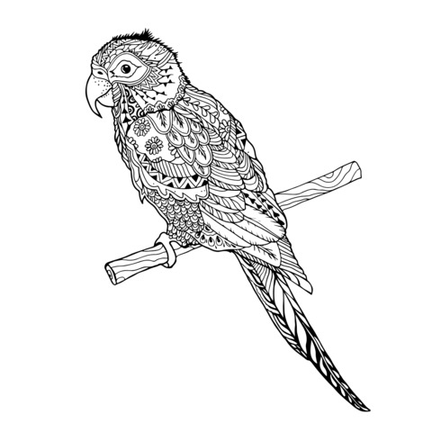 Colorful Parrot Coloring Page