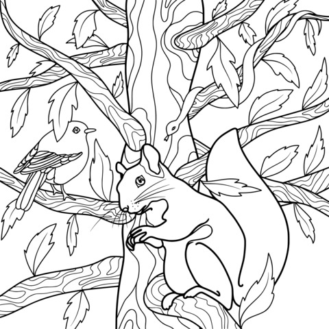 Coloring Page of a Squirrel and a Bird in the Forest