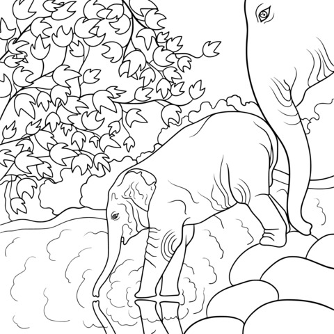 Coloring Page of Parent - Child Elephants by the Water