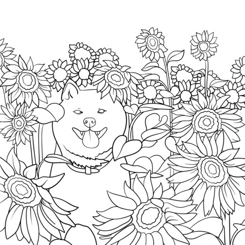 Shiba Inu in Sunflower Field Coloring Page