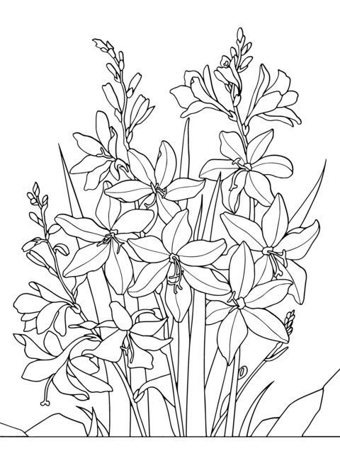 Beautiful Orange Flower Coloring Page