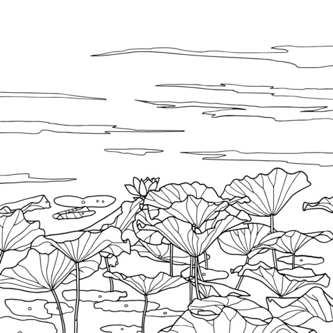 Lotus Pond Scene