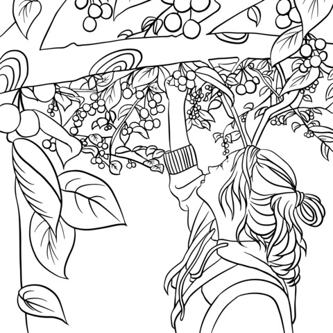 Girl Picking Fruits Coloring Page