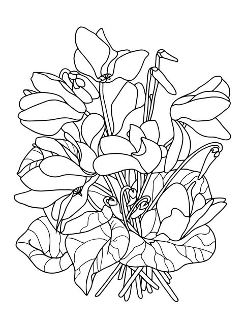 Primrose Coloring Page: Beautiful Yellow Primrose Illustration