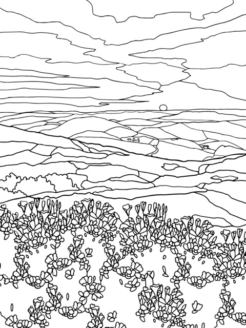 Gorgeous Field at Sunset Coloring Page