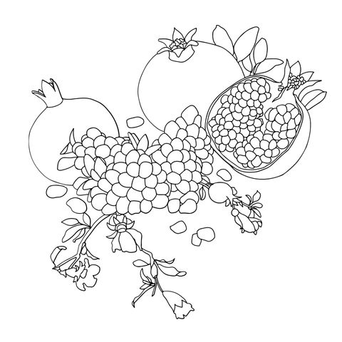 Pomegranate Coloring Page: Colorful Fruits Awaits Your Touch