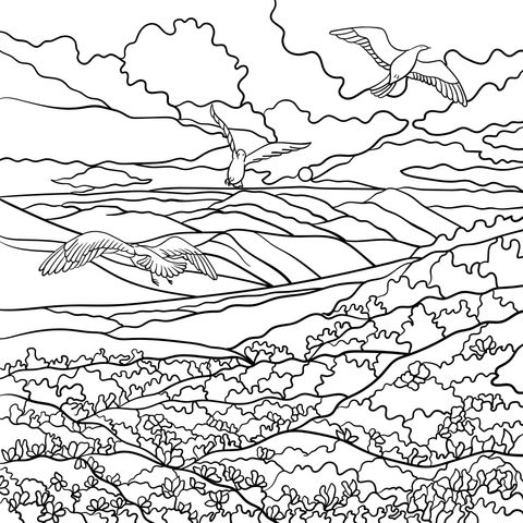 Coloring Page of Flying Birds and Field Landscape