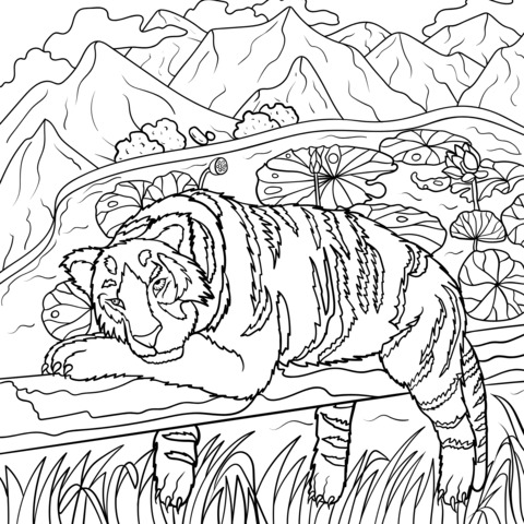 Página para colorir de um tigre descansando nas montanhas e águas