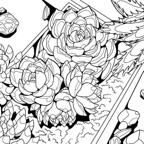 Succulent Plants Coloring Page Illustration