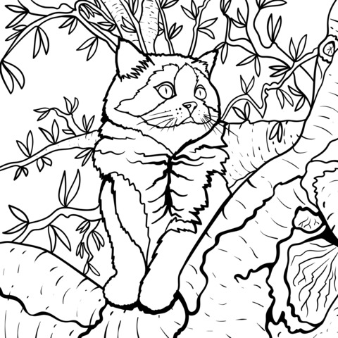 Cat on a Tree Coloring Page