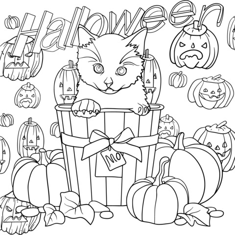 Halloween Black Cat and Pumpkins Coloring Page