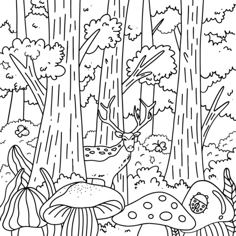 Coloring Page of a Deer in the Forest