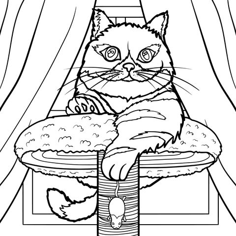 Cute Cat Cartoon Coloring Page