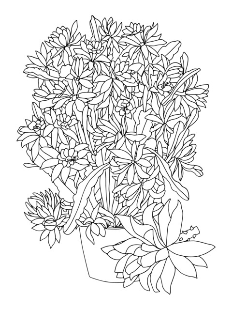 鉢植えの花の塗り絵ページ