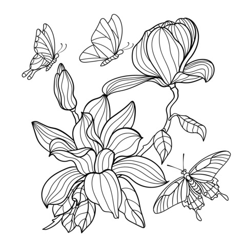 Colorful Flower and Butterfly Coloring Page