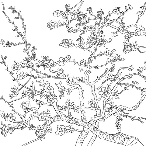 Beautiful Cherry Blossom Tree Coloring Page