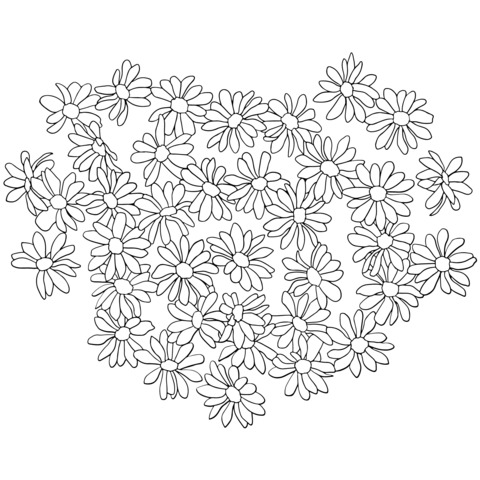 Heart - shaped Daisy Flower Sea Coloring Page